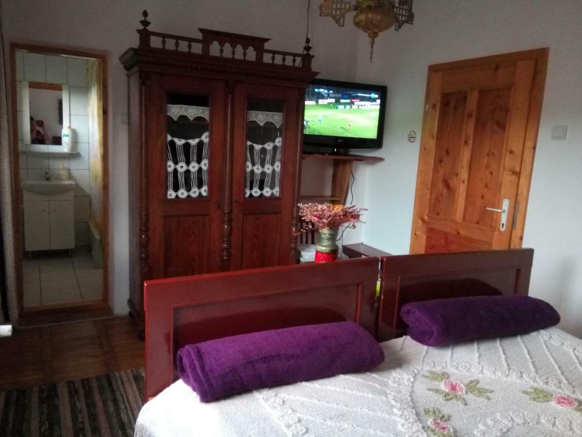 Pensiunea Bordas Panzio Sfântu-Gheorghe Exterior foto