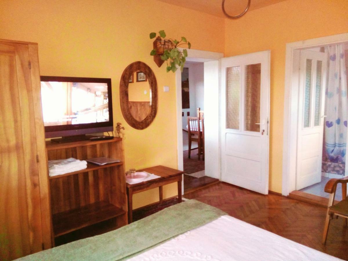 Pensiunea Bordas Panzio Sfântu-Gheorghe Exterior foto