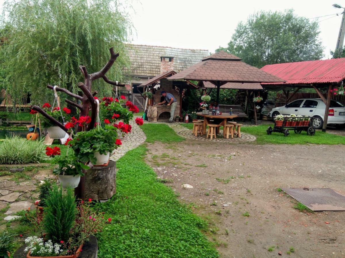 Pensiunea Bordas Panzio Sfântu-Gheorghe Exterior foto