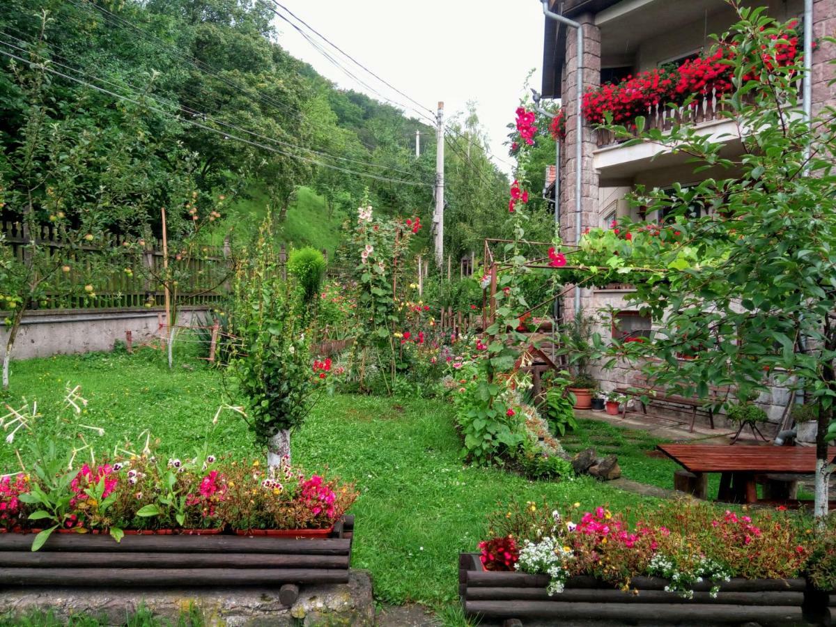 Pensiunea Bordas Panzio Sfântu-Gheorghe Exterior foto