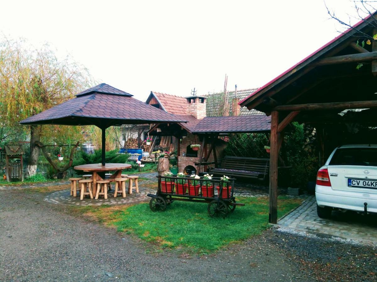 Pensiunea Bordas Panzio Sfântu-Gheorghe Exterior foto